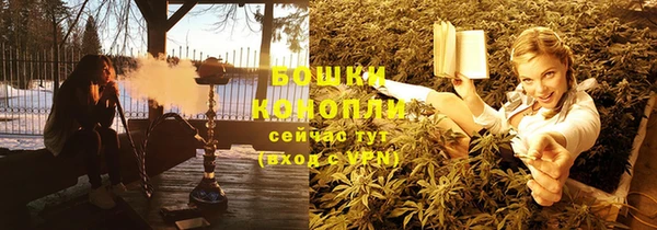 spice Новозыбков