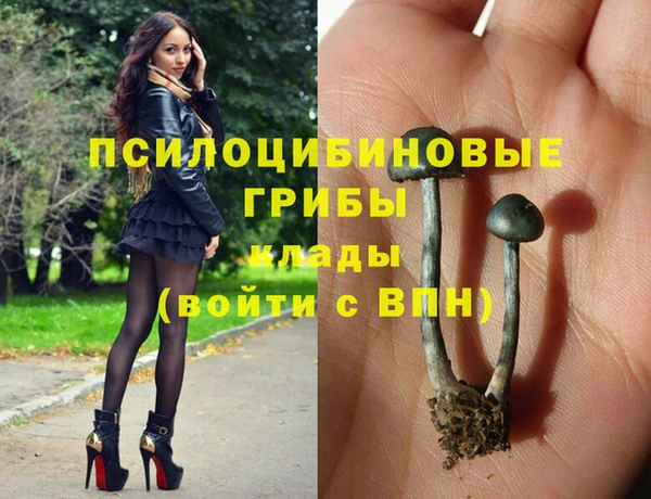 spice Новозыбков