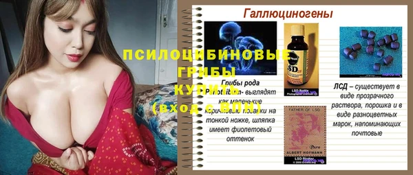 spice Новозыбков
