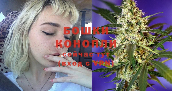 spice Новозыбков