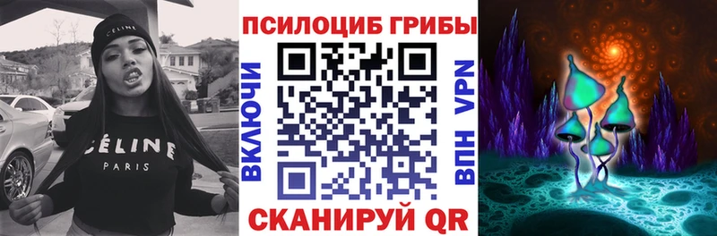 Псилоцибиновые грибы Psilocybe  MEGA ТОР  Кизел 
