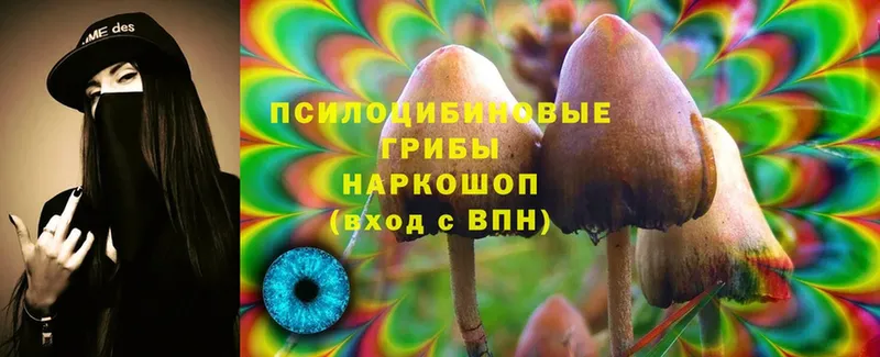 blacksprut ССЫЛКА  Кизел  Псилоцибиновые грибы GOLDEN TEACHER 